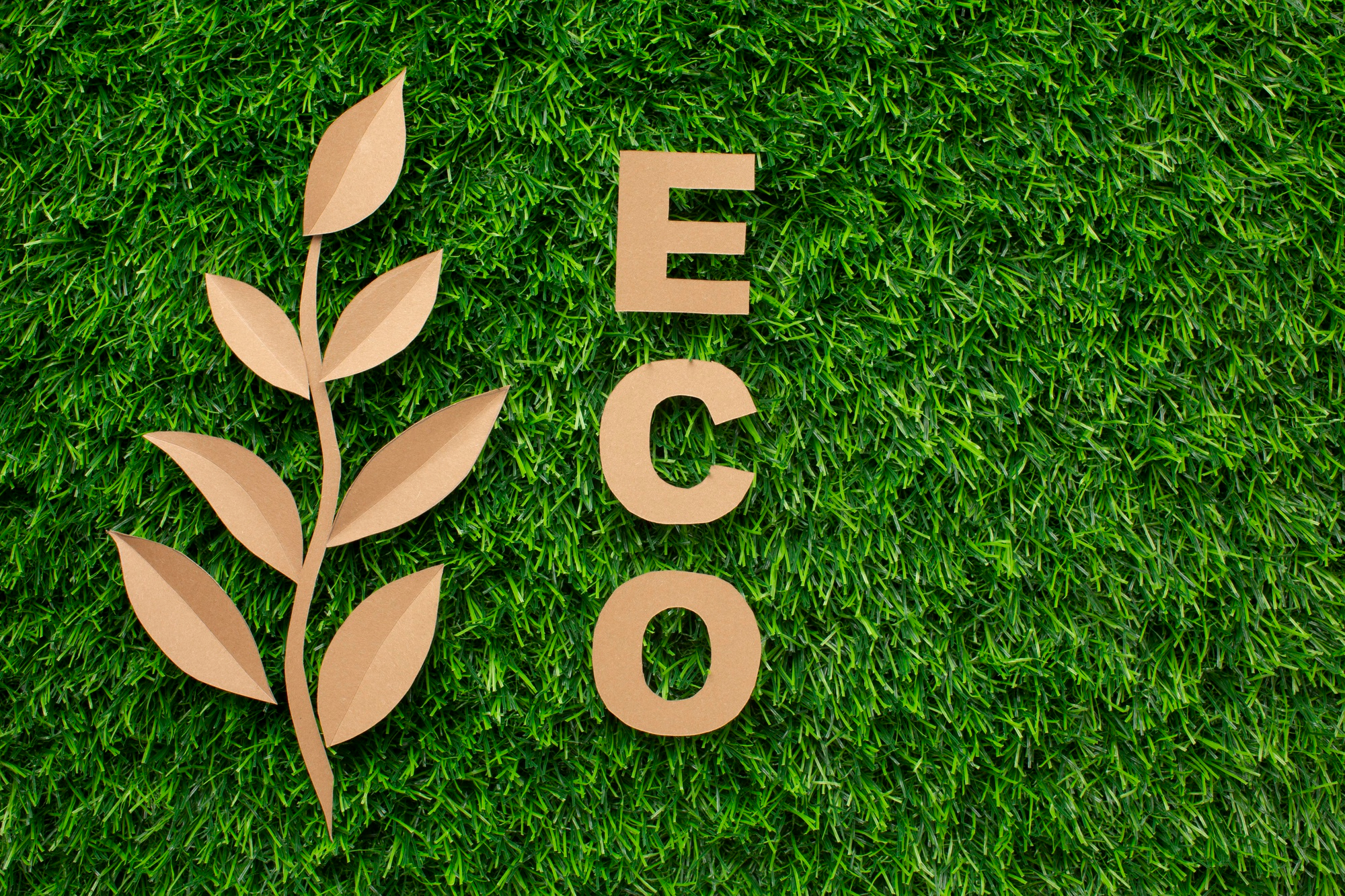 Eco-Friendly